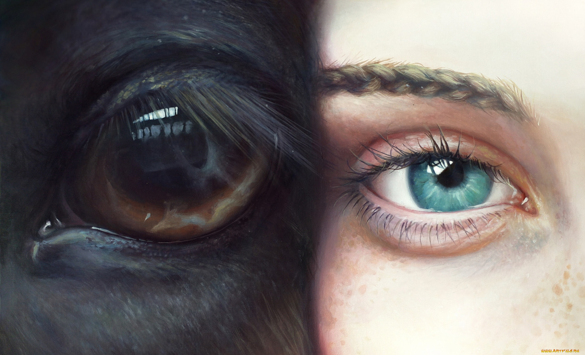 Глаз лошади и девушки